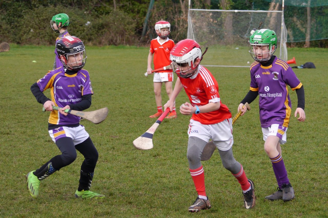 U10 Hurling Gp.1Z  vs St Brigids