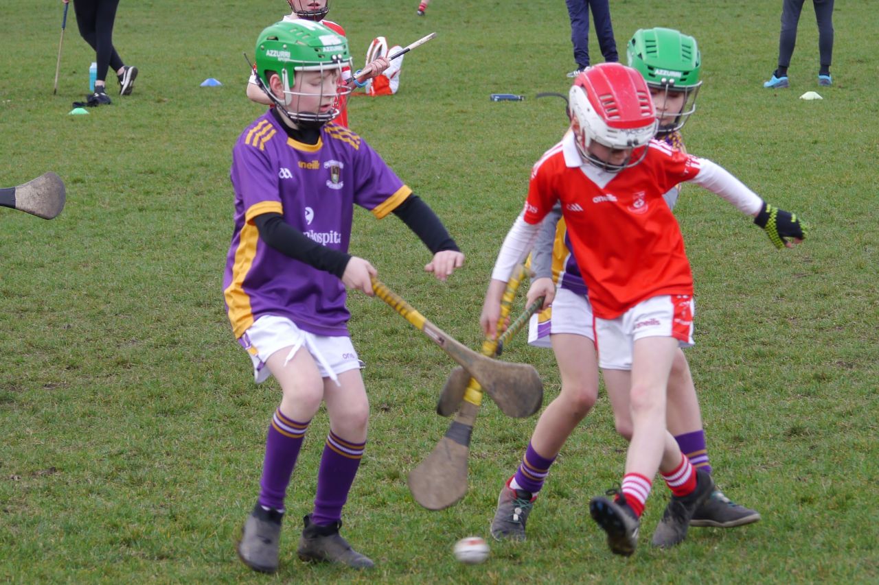 U10 Hurling Gp.1Z  vs St Brigids