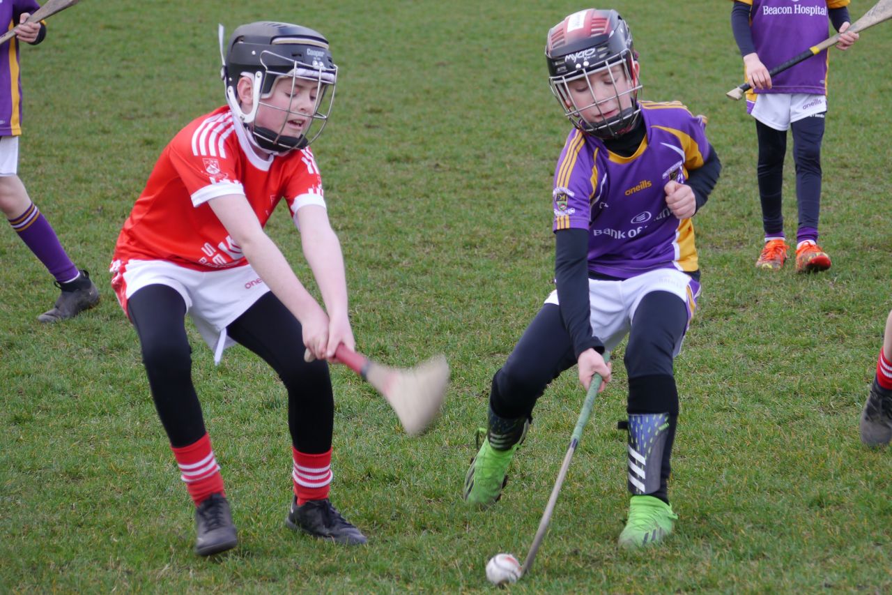 U10 Hurling Gp.1Z  vs St Brigids