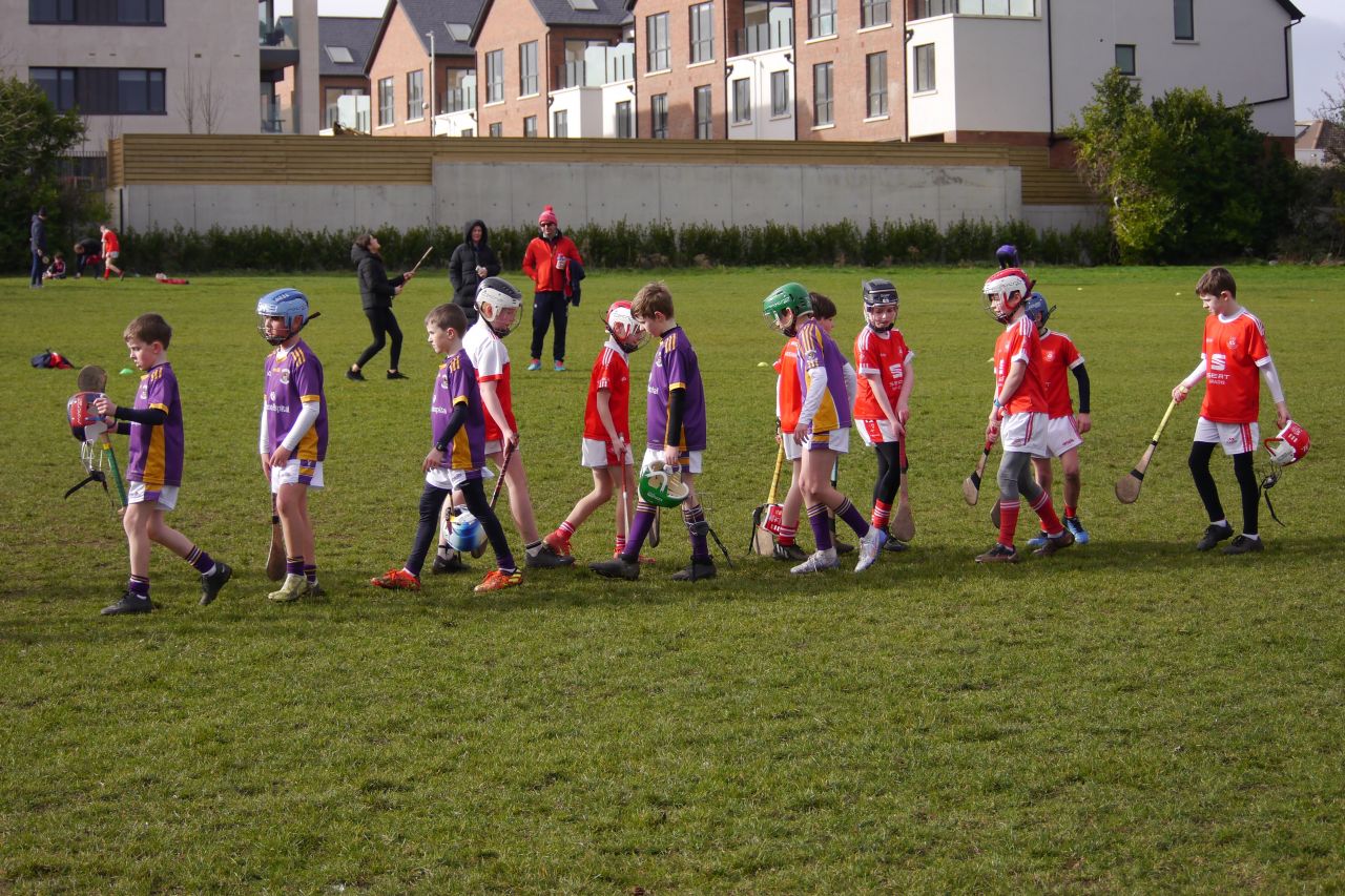 U10 Hurling Gp.1Z  vs St Brigids