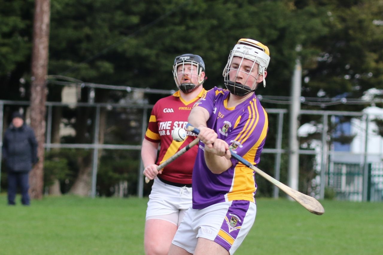 Adult Hurling League Division Eight  vs St Maurs