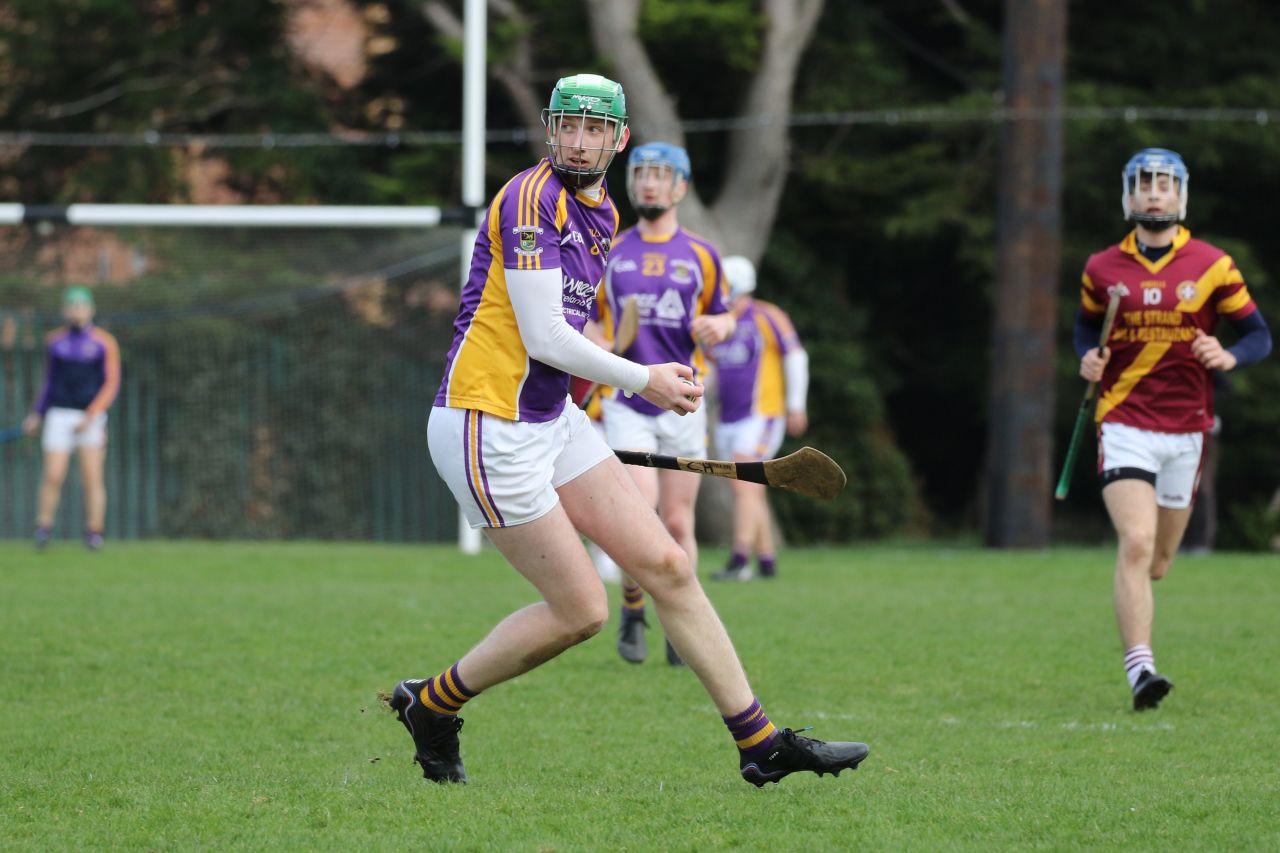 Adult Hurling League Division Eight  vs St Maurs