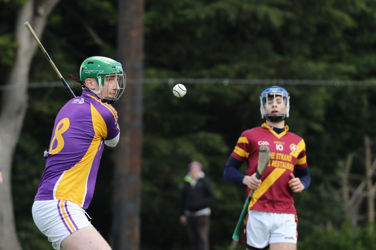 Adult Hurling League Division Eight  vs St Maurs