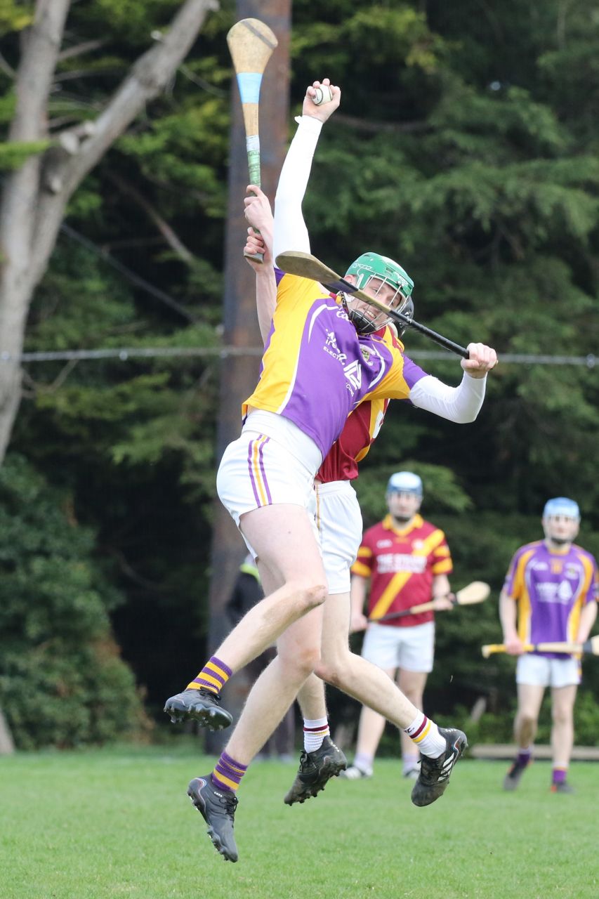 Adult Hurling League Division Eight  vs St Maurs