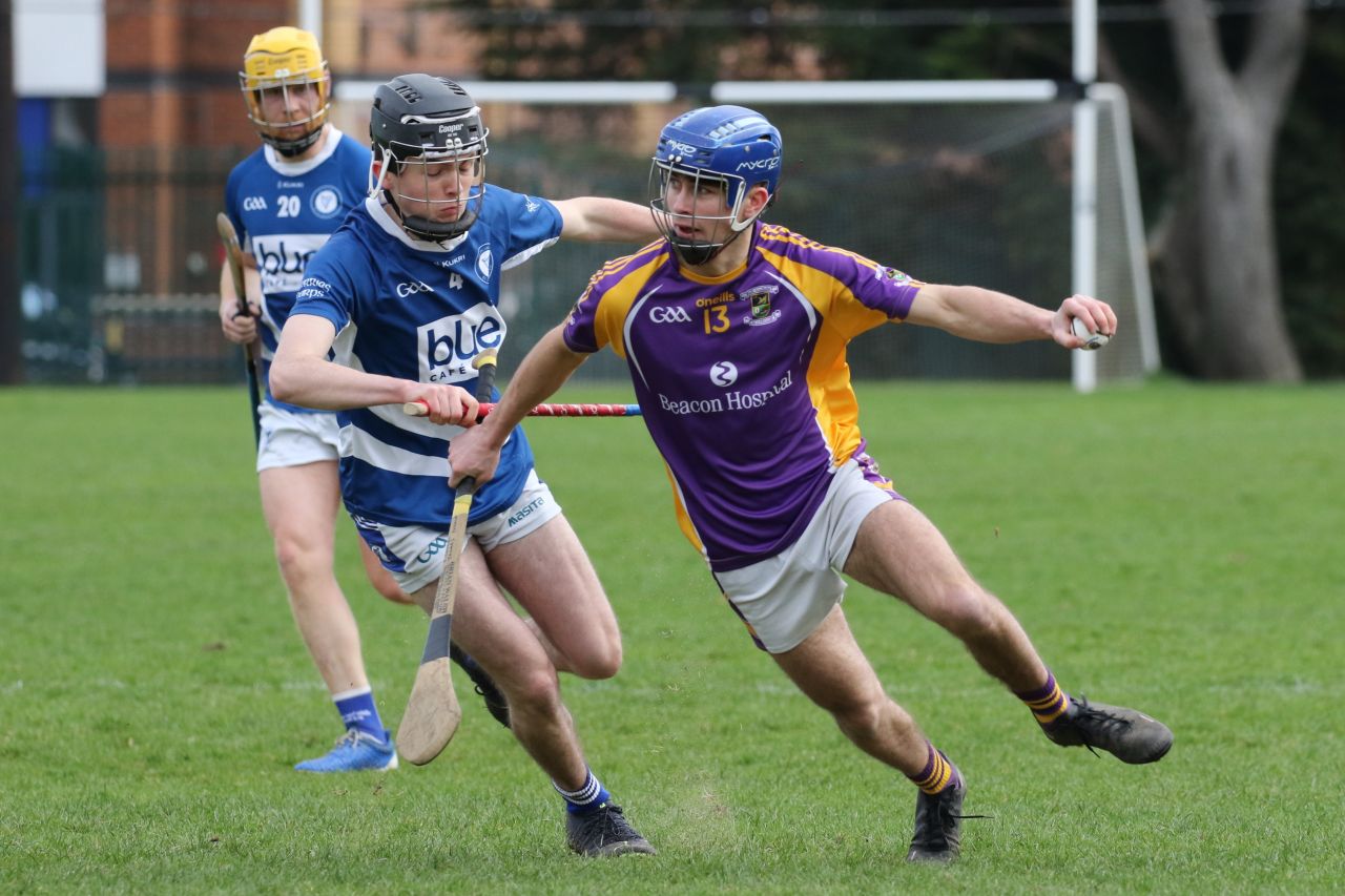 Adult Hurling League Division Four vs Skerries Harps