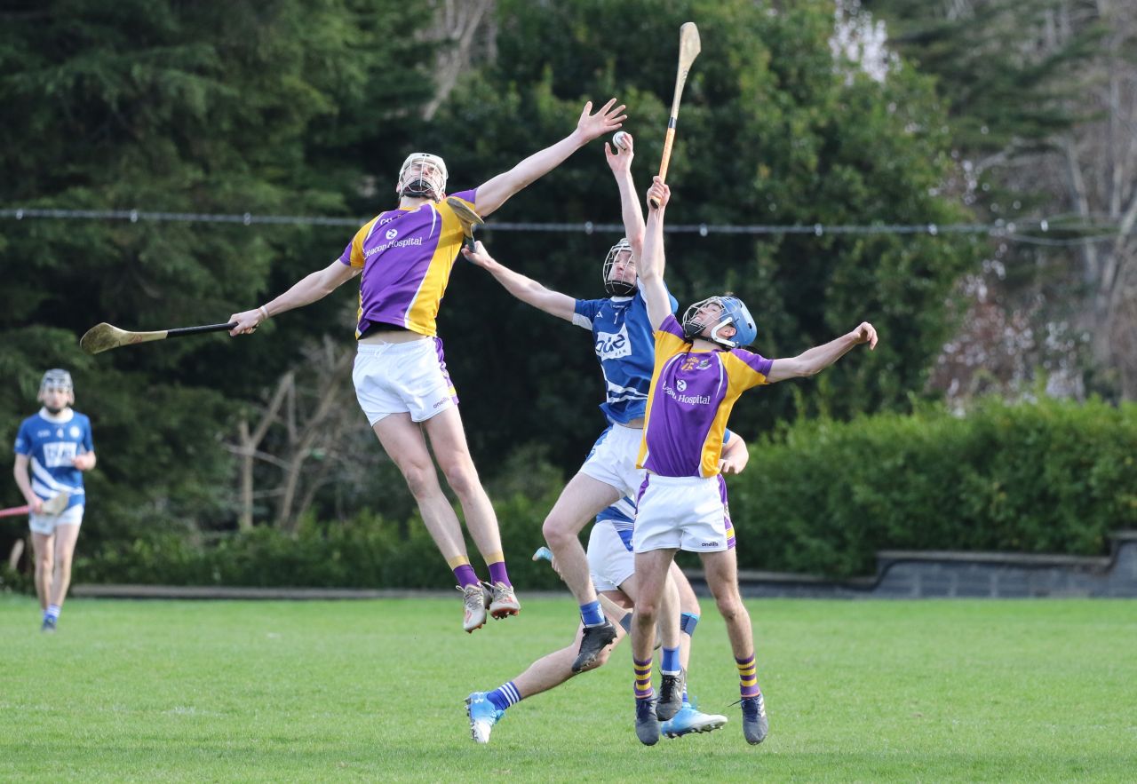 Adult Hurling League Division Four vs Skerries Harps