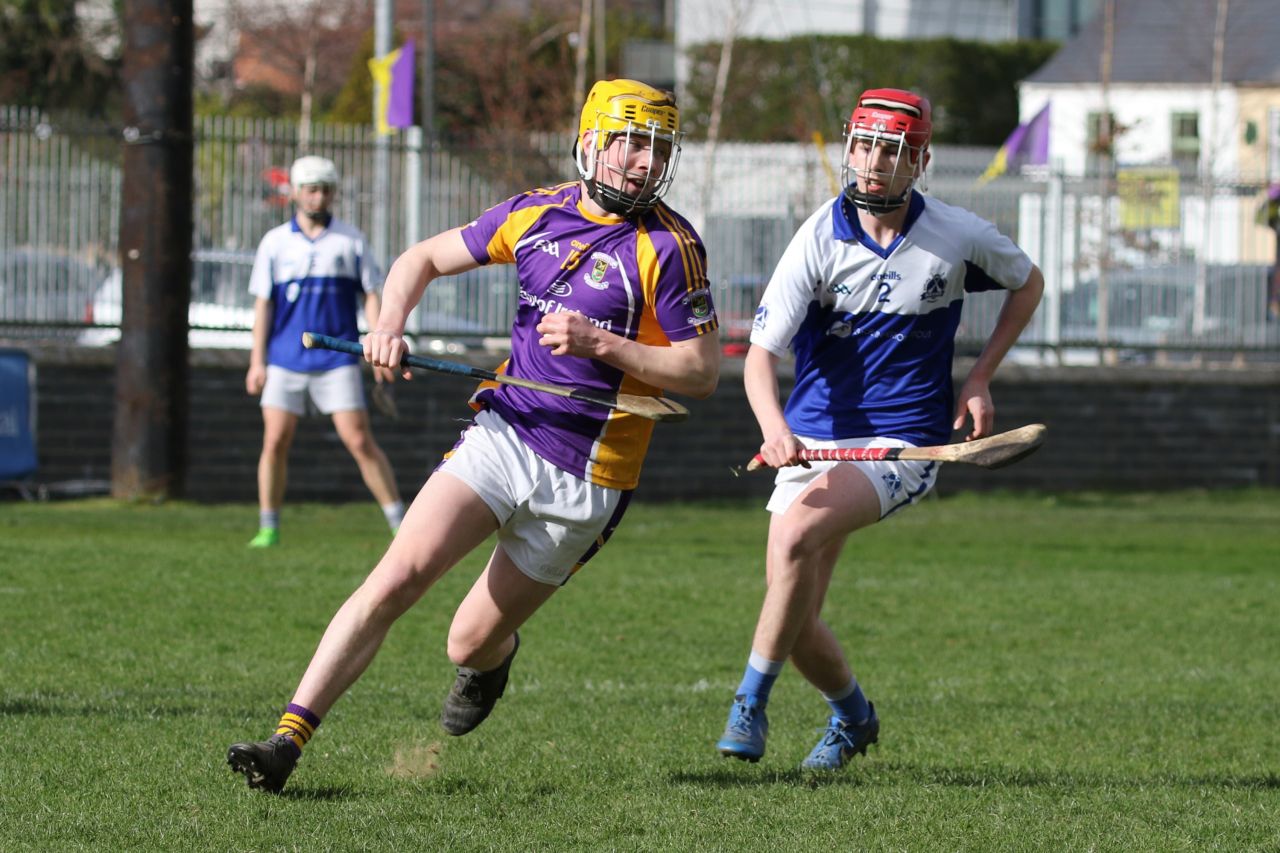 Adult Hurling League Division 7 vs St Kevins