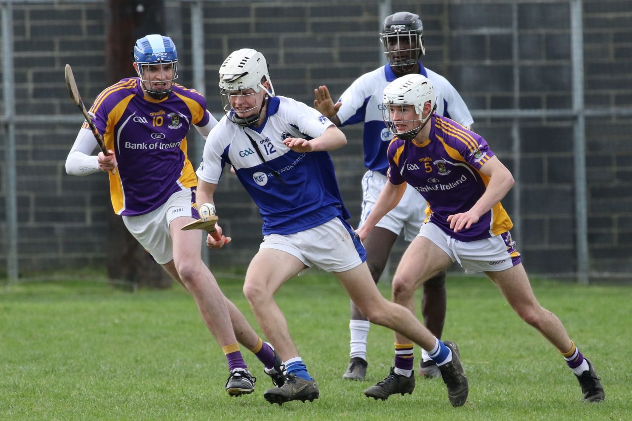 Adult Hurling League Division 7 vs St Kevins