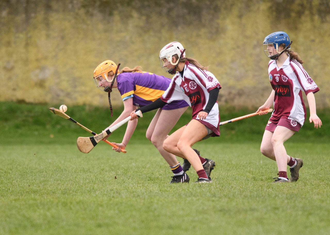 Camogie Junior 3 League   Kilmacud Crokes Versus St Finians 