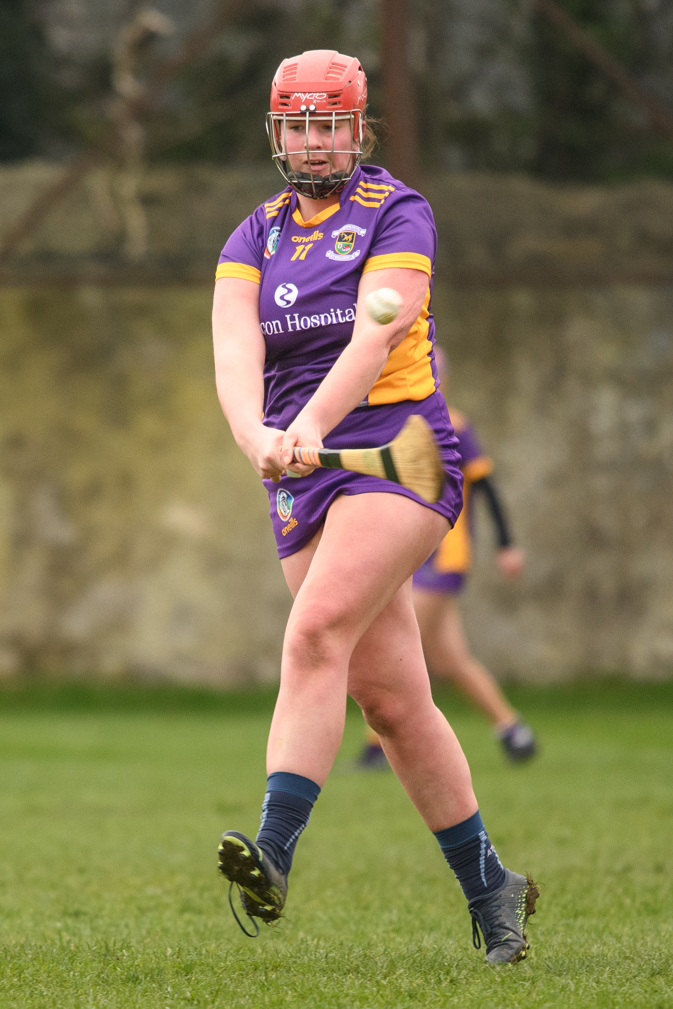 Camogie Junior 3 League   Kilmacud Crokes Versus St Finians 