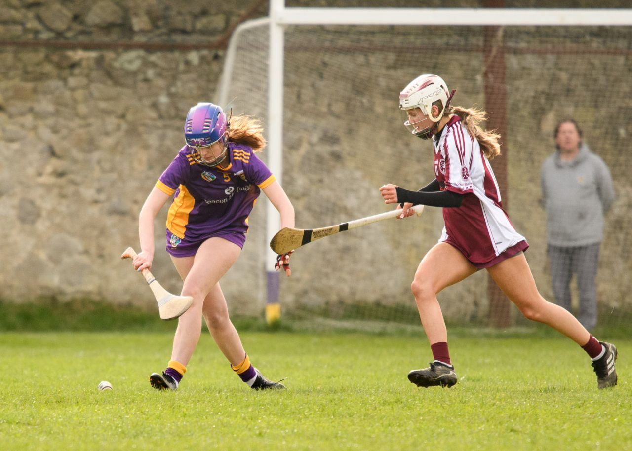 Camogie Junior 3 League   Kilmacud Crokes Versus St Finians 