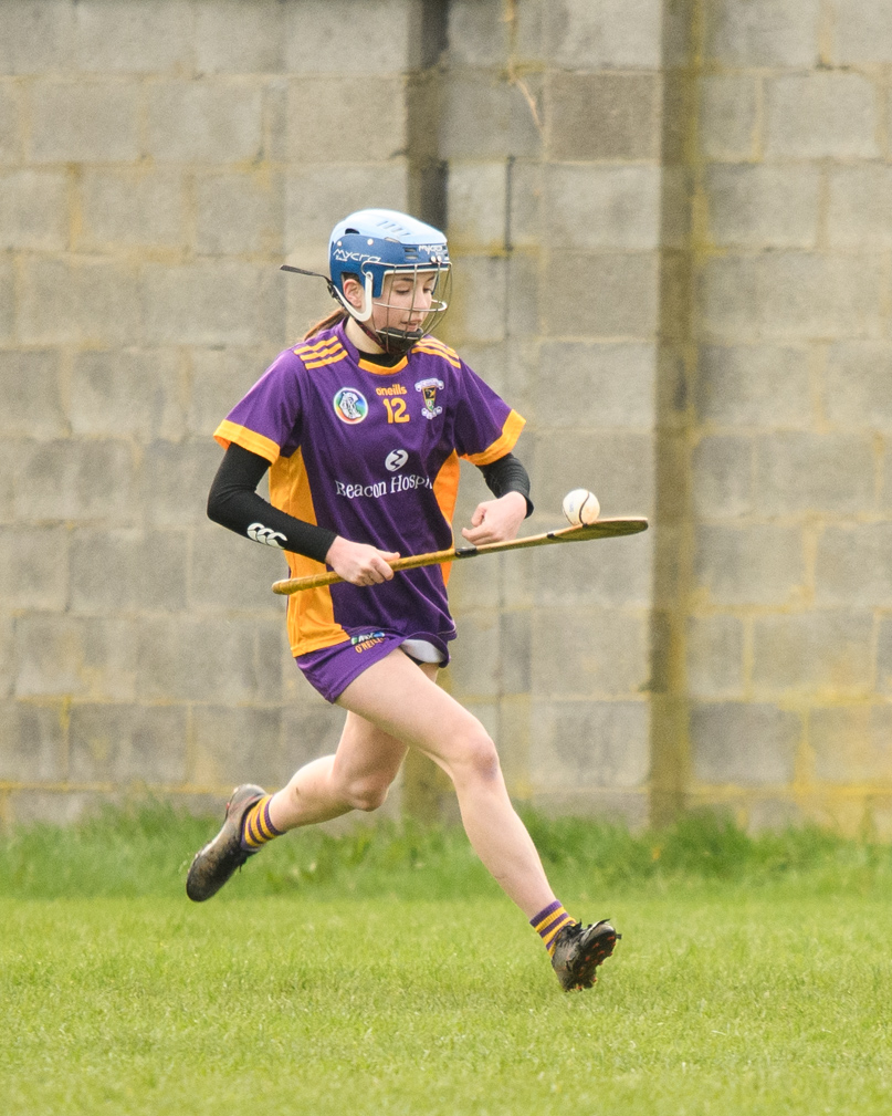 Camogie Junior 3 League   Kilmacud Crokes Versus St Finians 