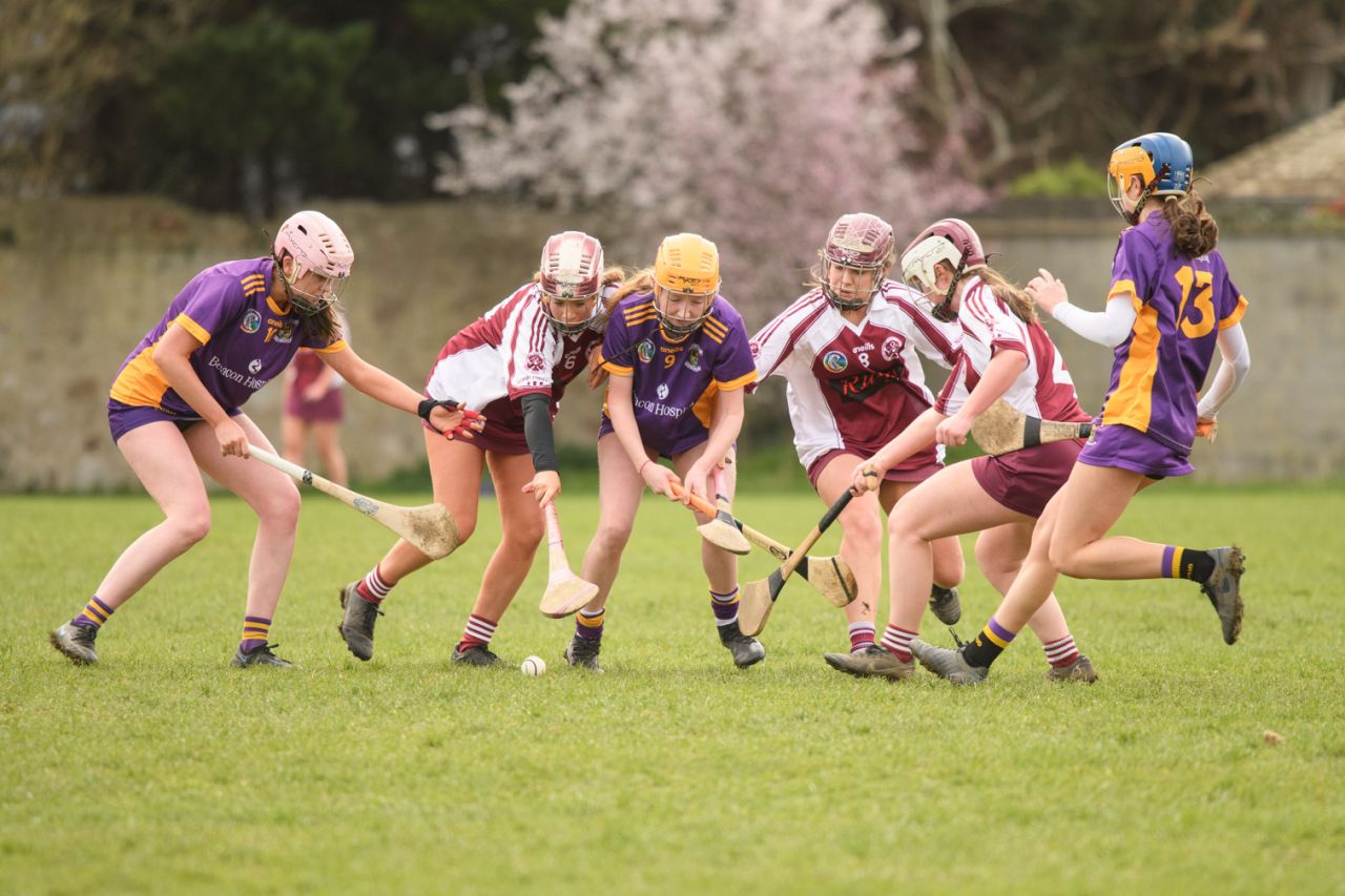 Camogie Junior 3 League   Kilmacud Crokes Versus St Finians 