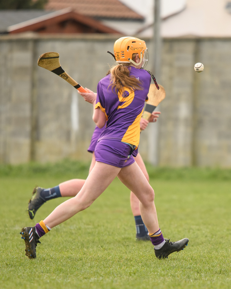 Camogie Junior 3 League   Kilmacud Crokes Versus St Finians 