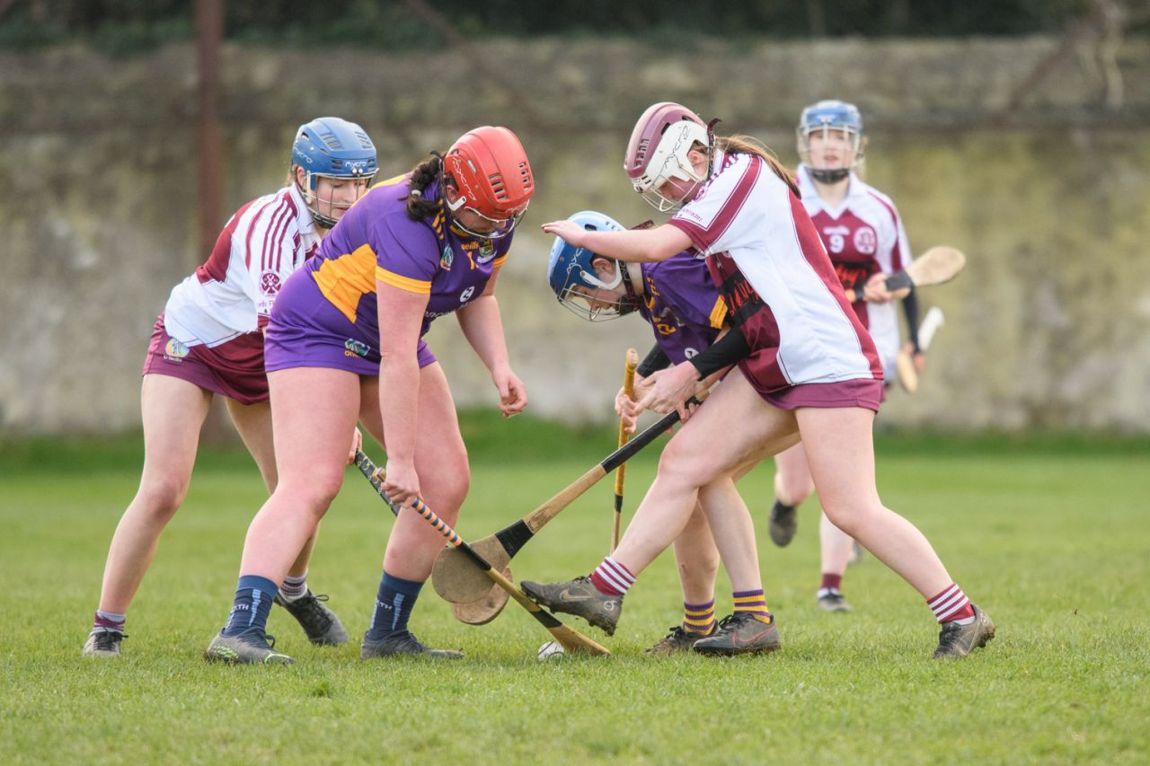 Camogie Junior 3 League   Kilmacud Crokes Versus St Finians 