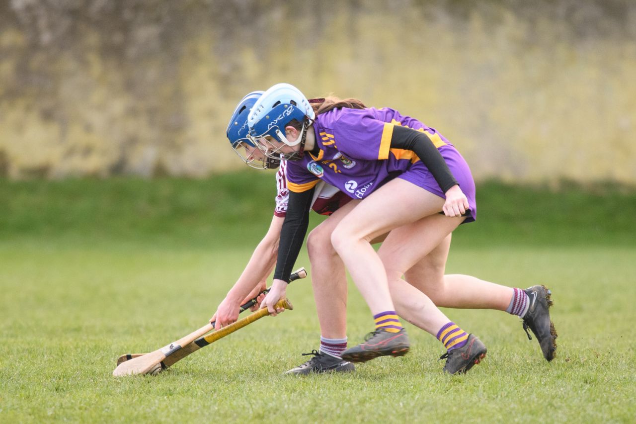 Camogie Junior 3 League   Kilmacud Crokes Versus St Finians 