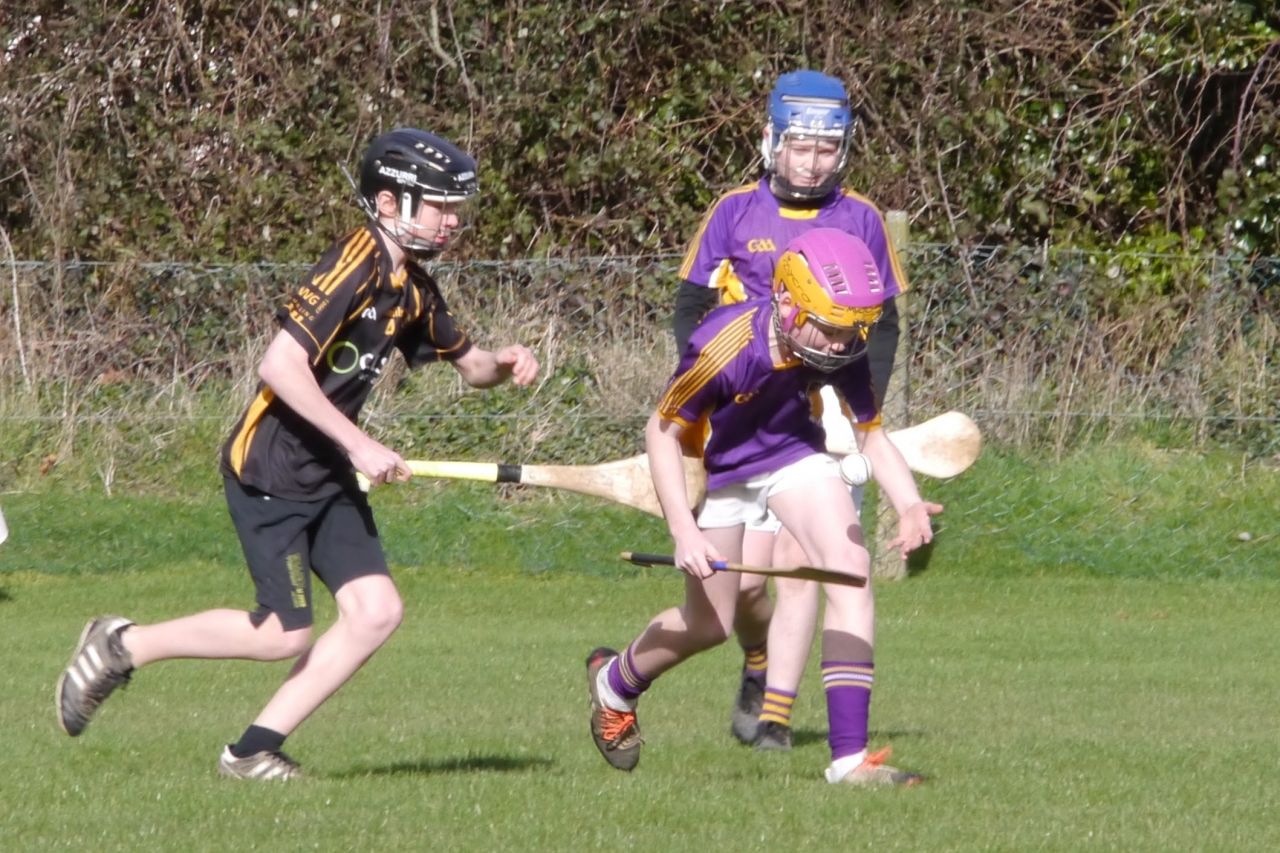 KC3 (2010 group) Hurling vs Wild Geese