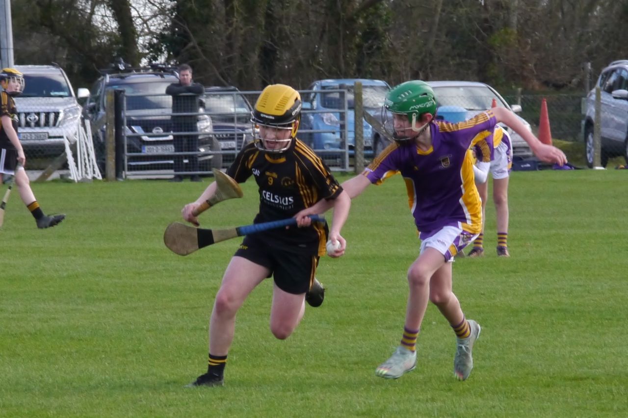 KC3 (2010 group) Hurling vs Wild Geese