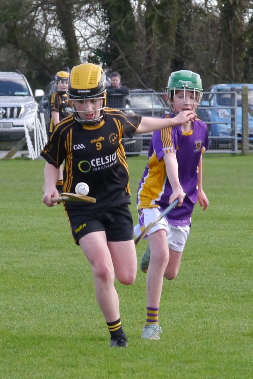 KC3 (2010 group) Hurling vs Wild Geese