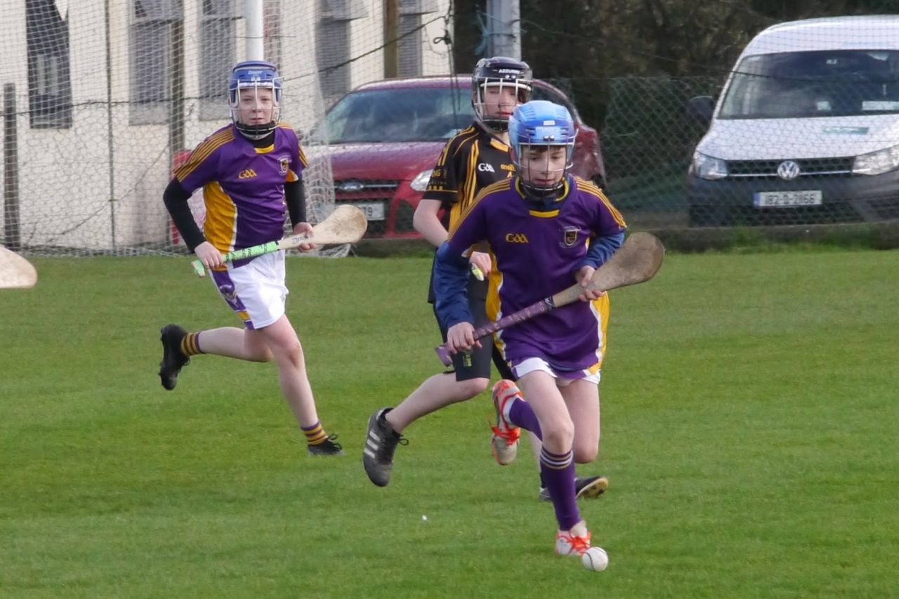 KC3 (2010 group) Hurling vs Wild Geese