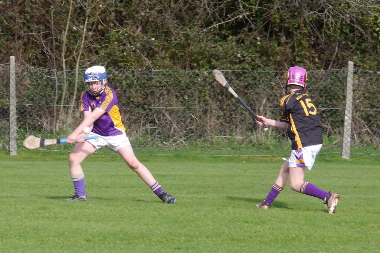 KC3 (2010 group) Hurling vs Wild Geese