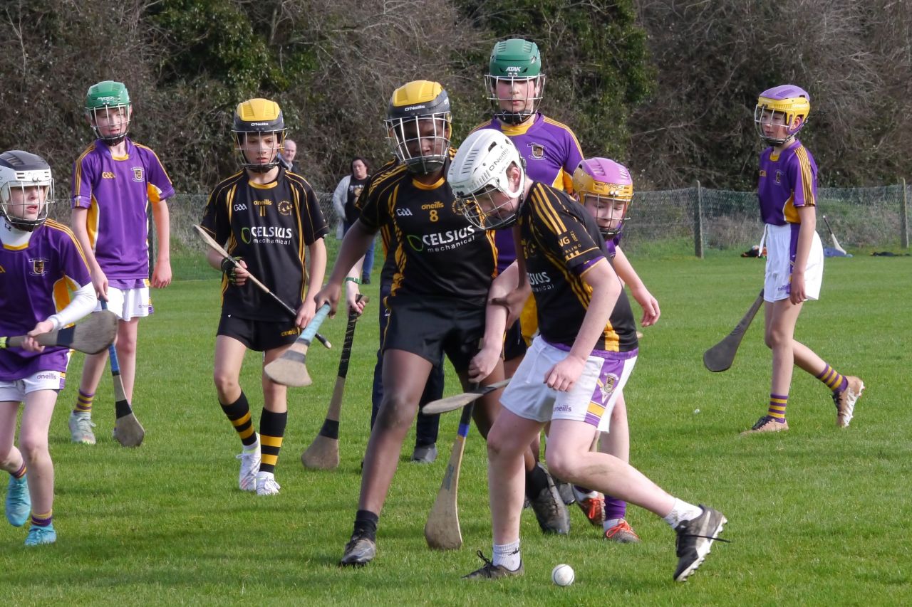 KC3 (2010 group) Hurling vs Wild Geese