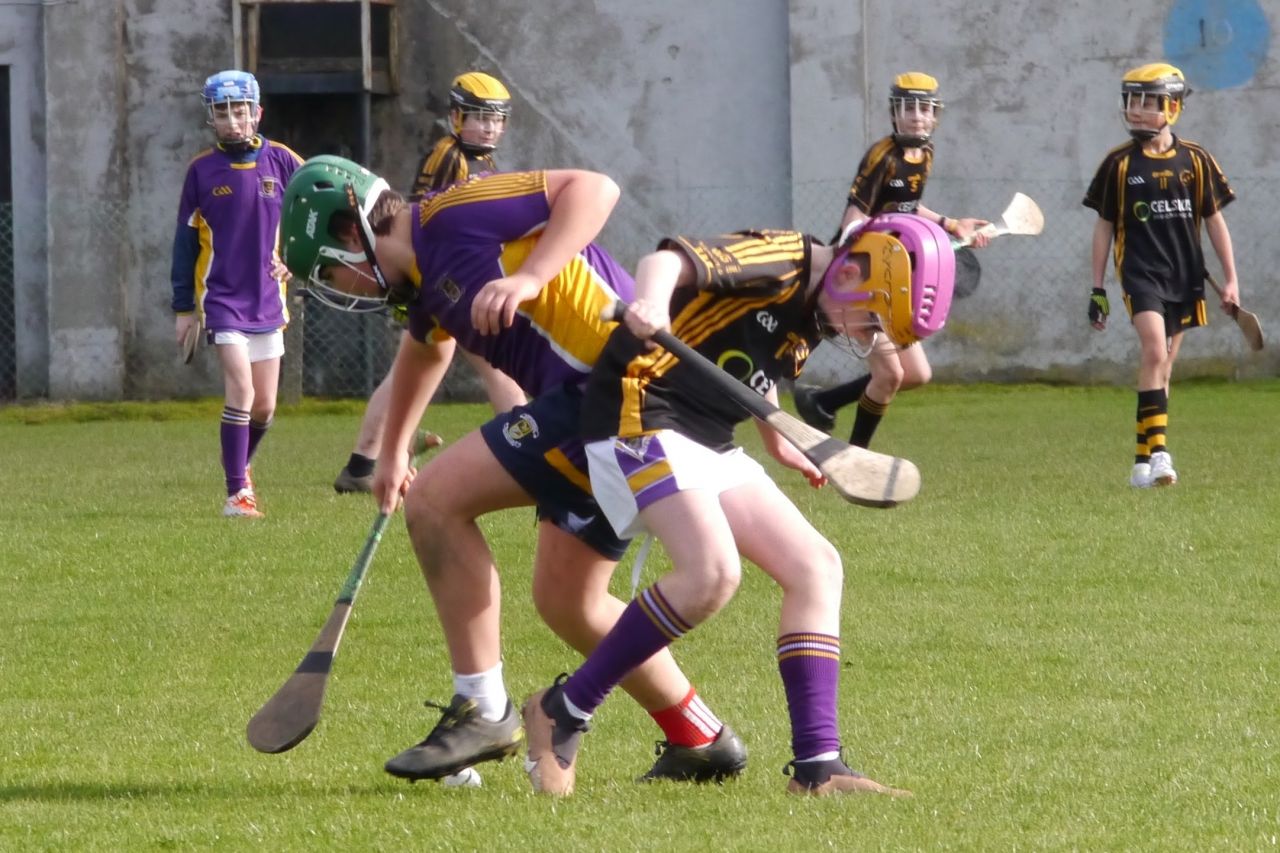 KC3 (2010 group) Hurling vs Wild Geese