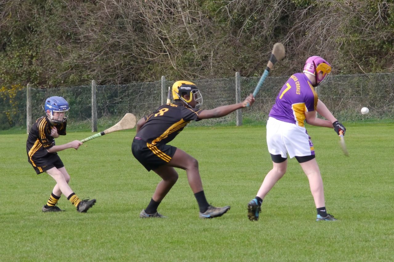 KC3 (2010 group) Hurling vs Wild Geese