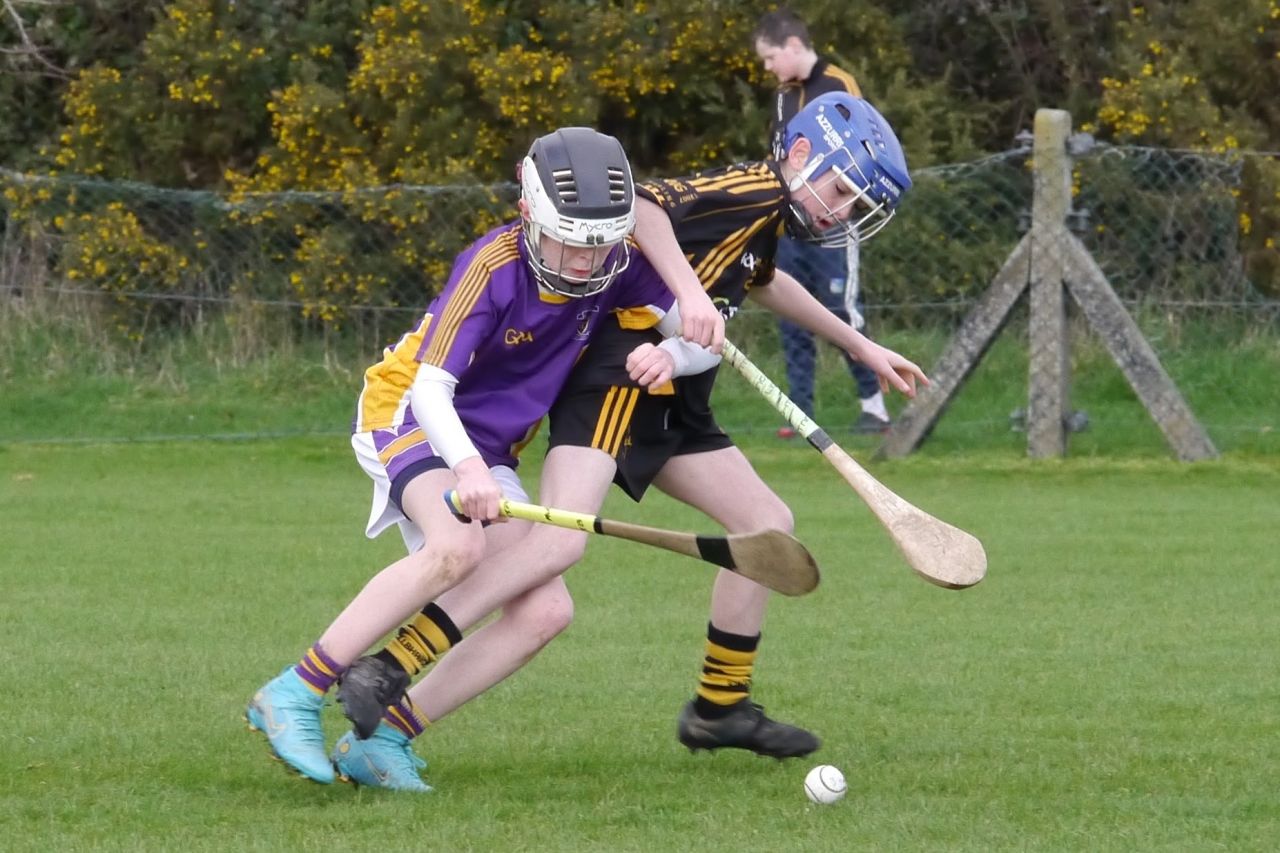 KC3 (2010 group) Hurling vs Wild Geese