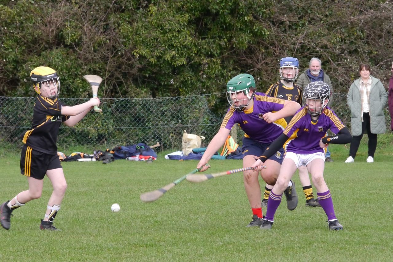 KC3 (2010 group) Hurling vs Wild Geese