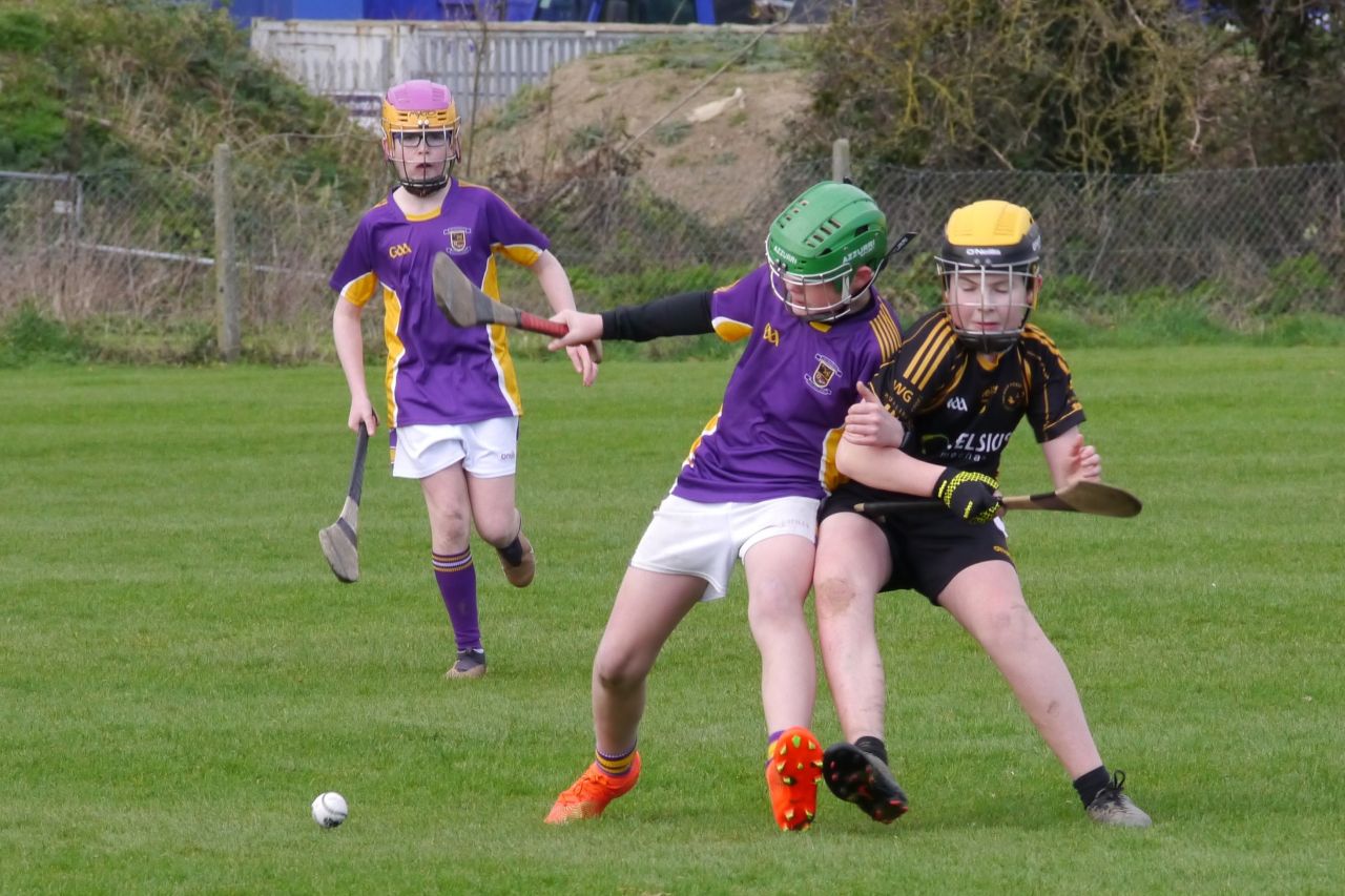 KC3 (2010 group) Hurling vs Wild Geese