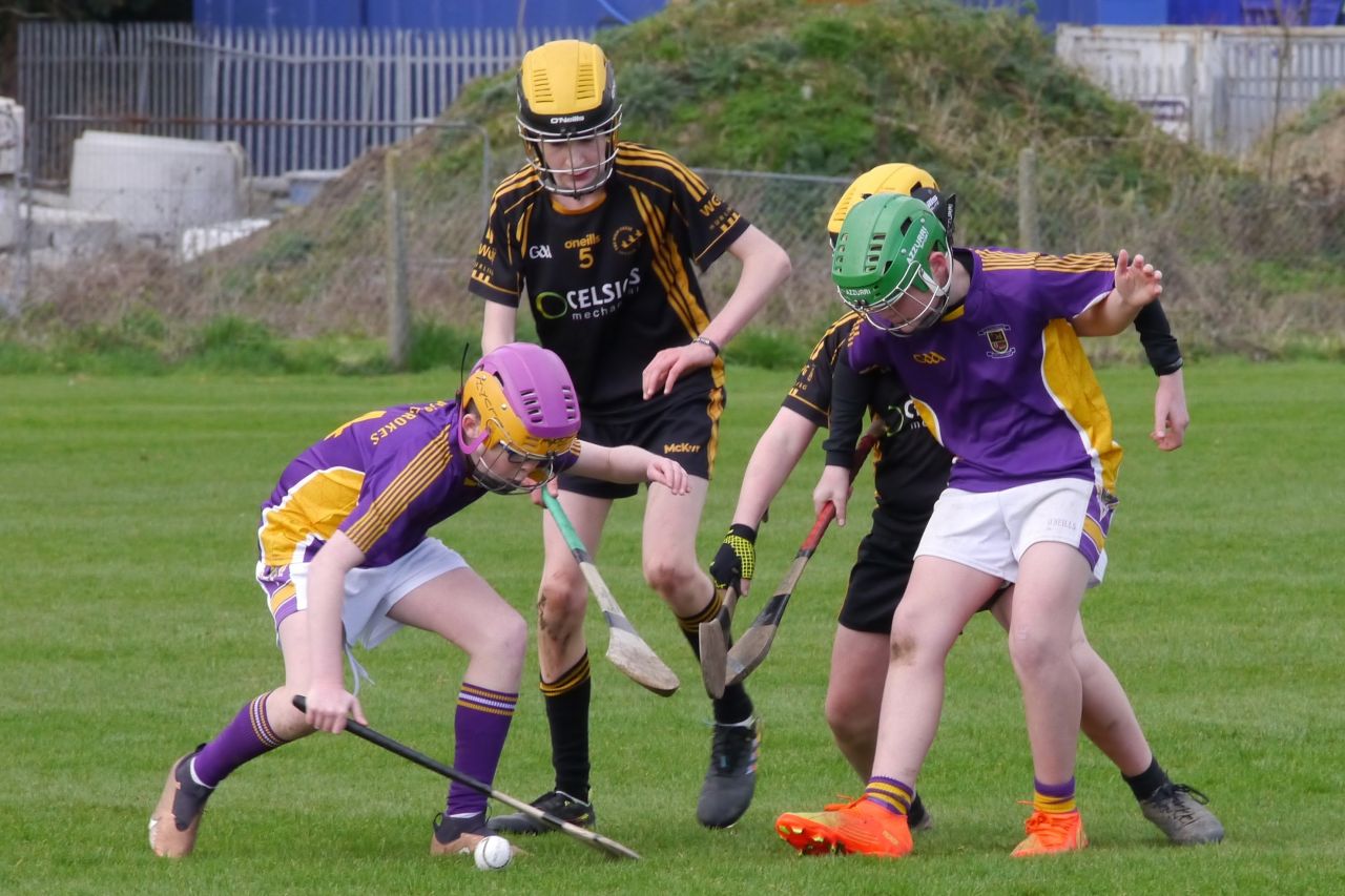 KC3 (2010 group) Hurling vs Wild Geese