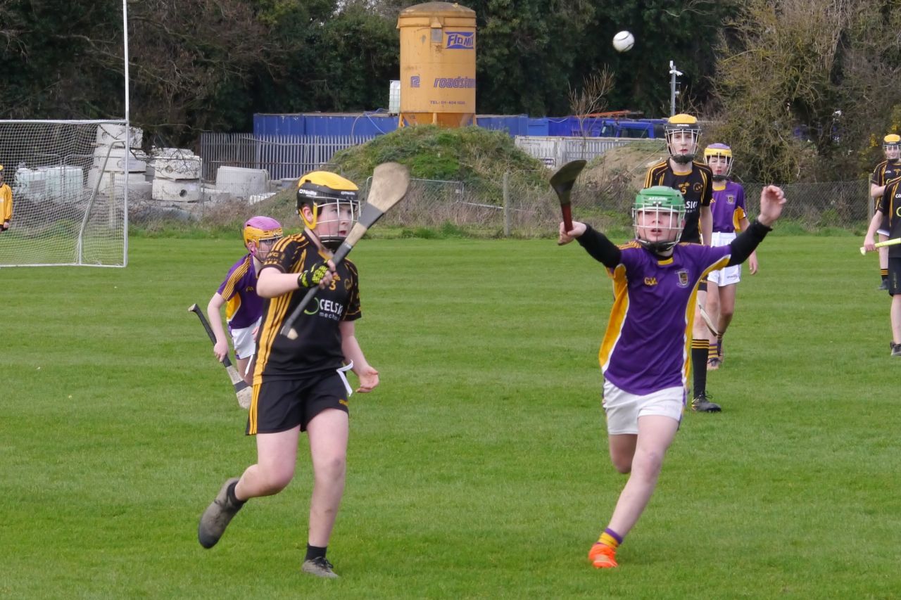 KC3 (2010 group) Hurling vs Wild Geese