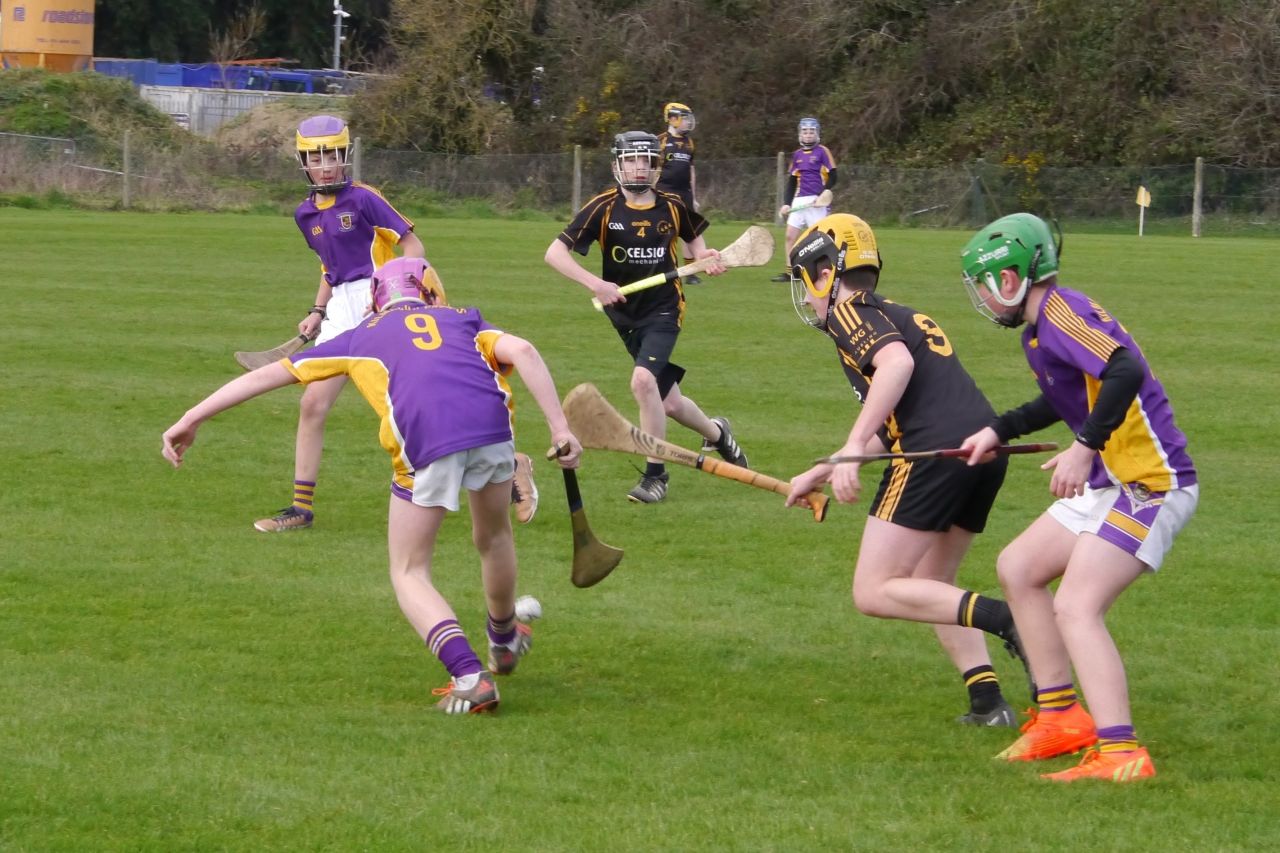 KC3 (2010 group) Hurling vs Wild Geese