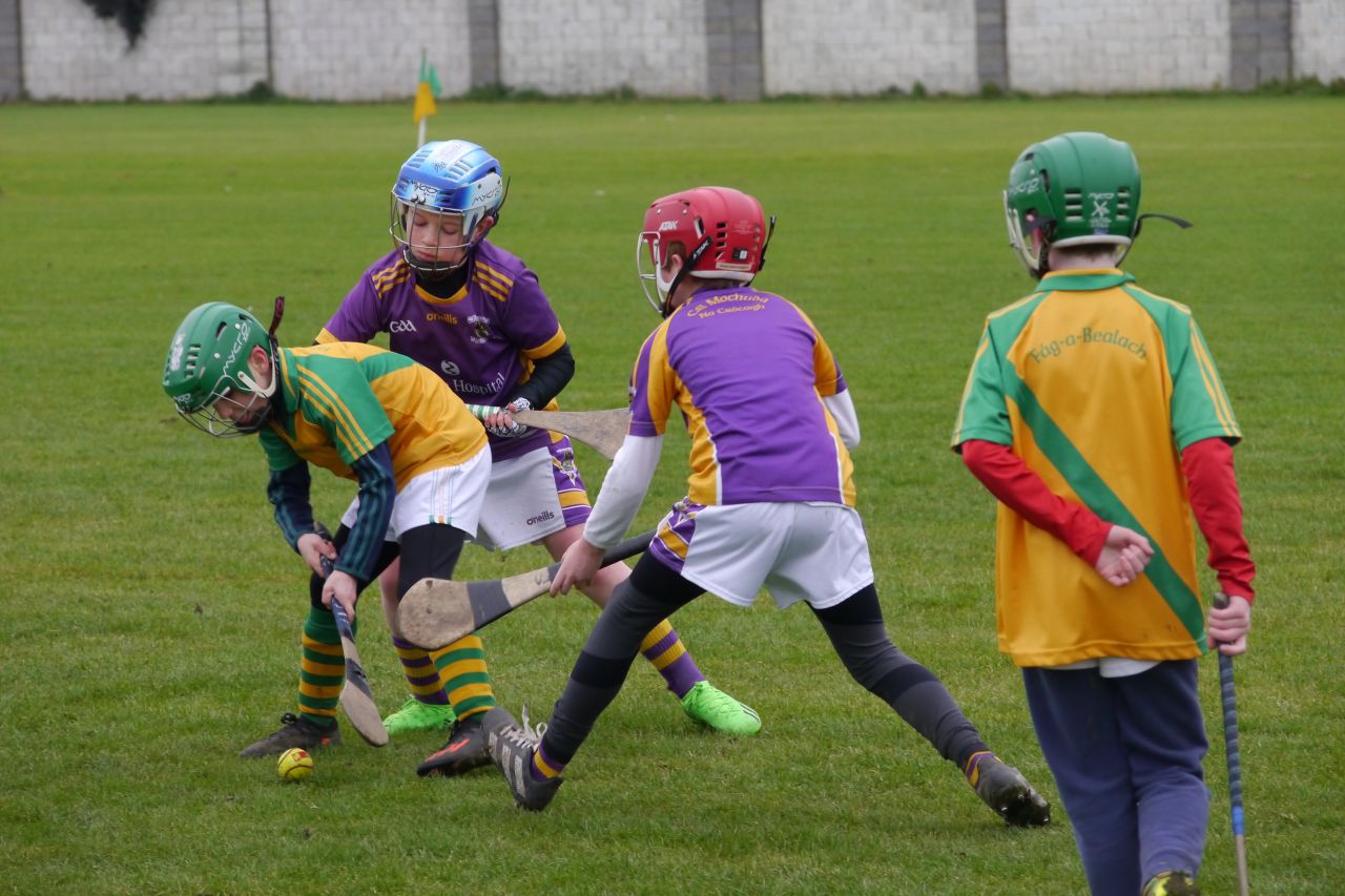 KC2 (2013 group)  vs Faughs