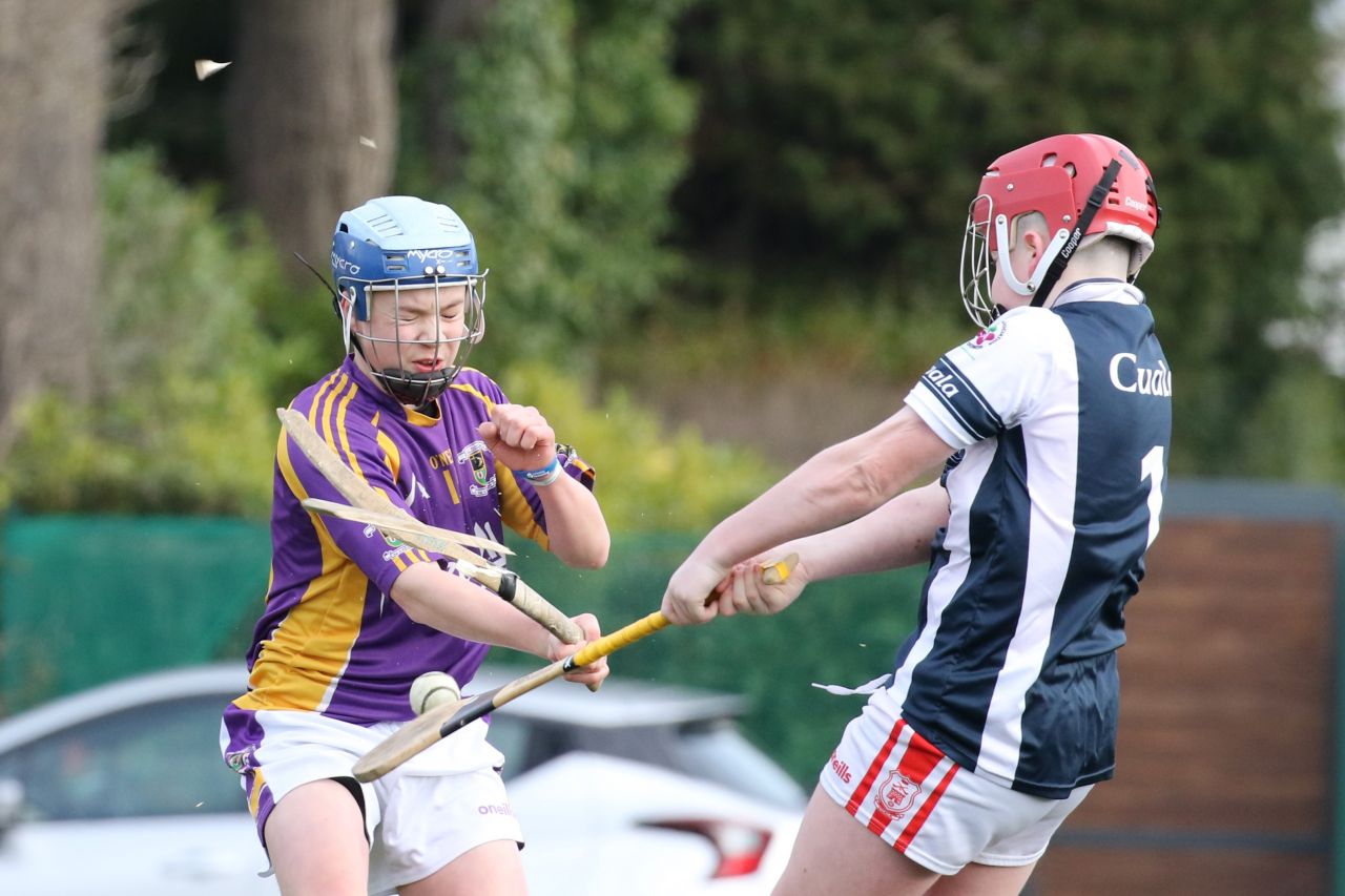 Minor Hurling League Div.4 vs Good Counsel Liffey Gaels