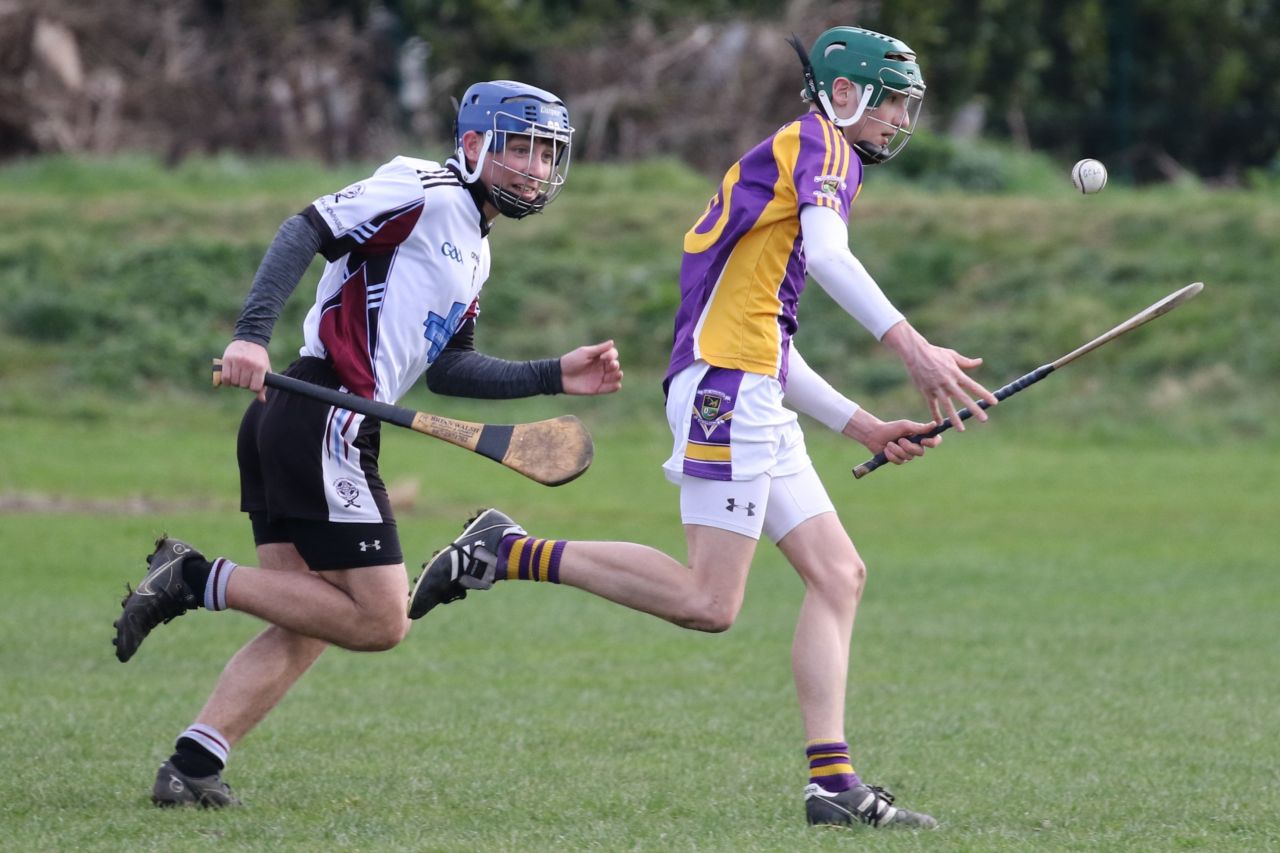 Minor Hurling League Div.4 vs Good Counsel Liffey Gaels