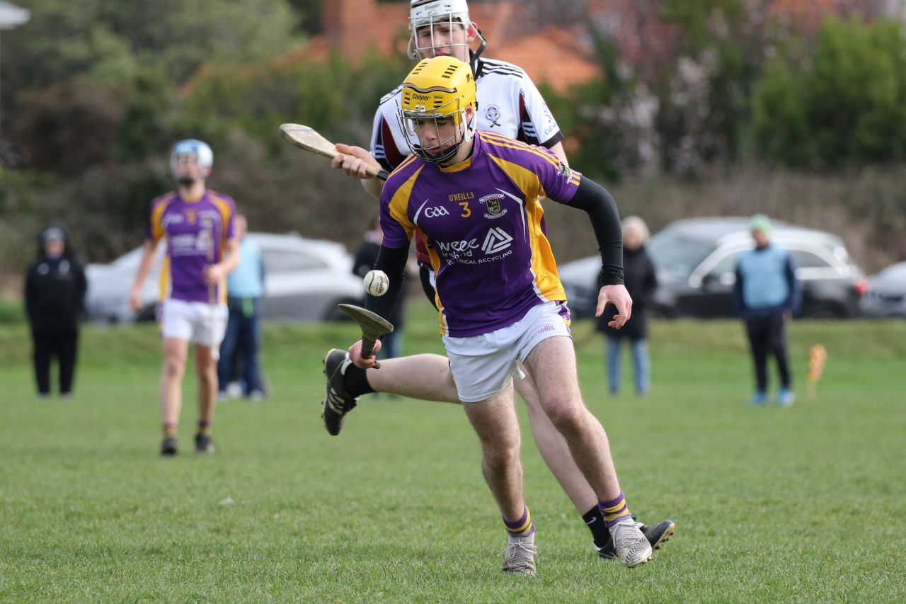 Minor Hurling League Div.4 vs Good Counsel Liffey Gaels