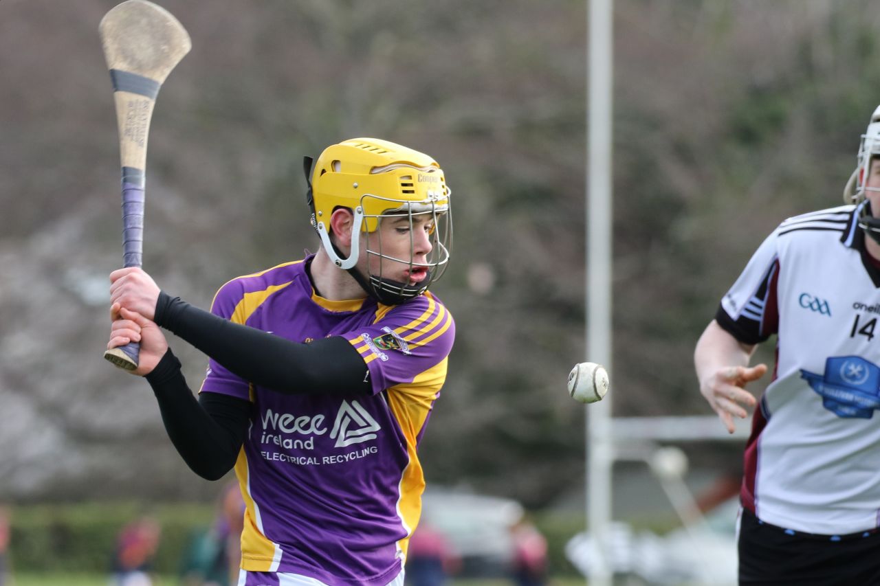 Minor Hurling League Div.4 vs Good Counsel Liffey Gaels