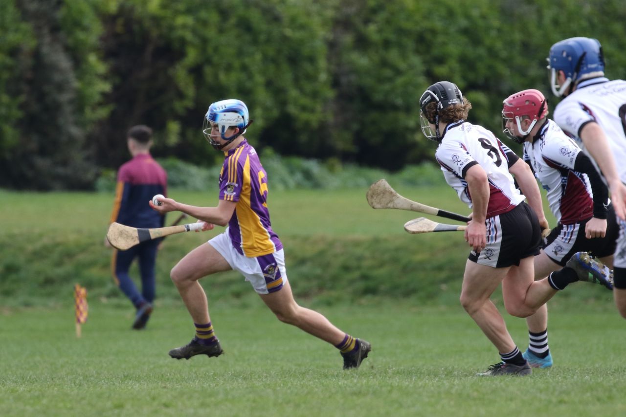 Minor Hurling League Div.4 vs Good Counsel Liffey Gaels