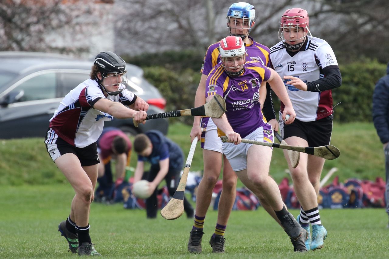 Minor Hurling League Div.4 vs Good Counsel Liffey Gaels