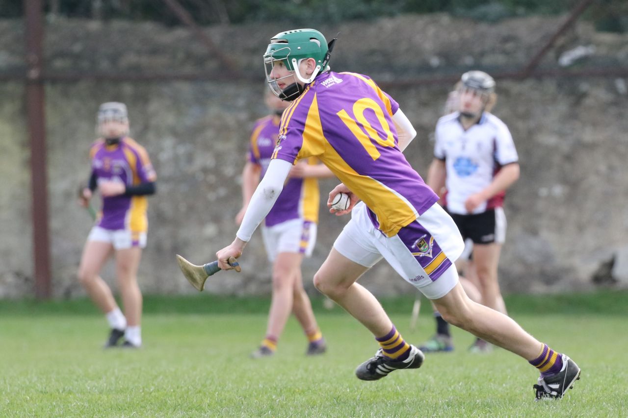 Minor Hurling League Div.4 vs Good Counsel Liffey Gaels