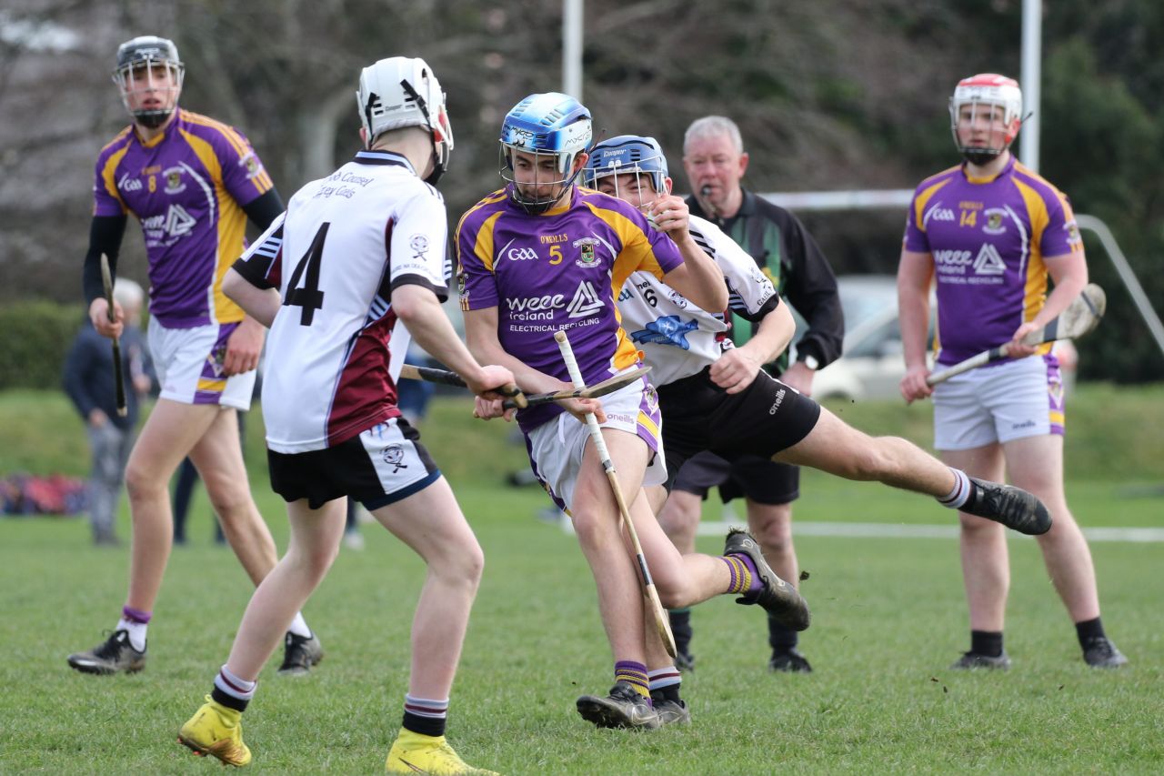 Minor Hurling League Div.4 vs Good Counsel Liffey Gaels