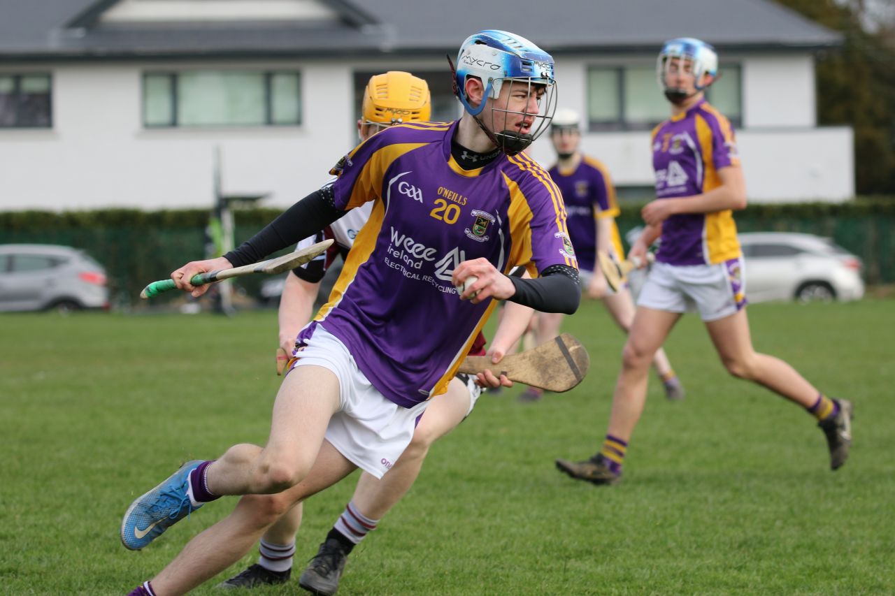 Minor Hurling League Div.4 vs Good Counsel Liffey Gaels