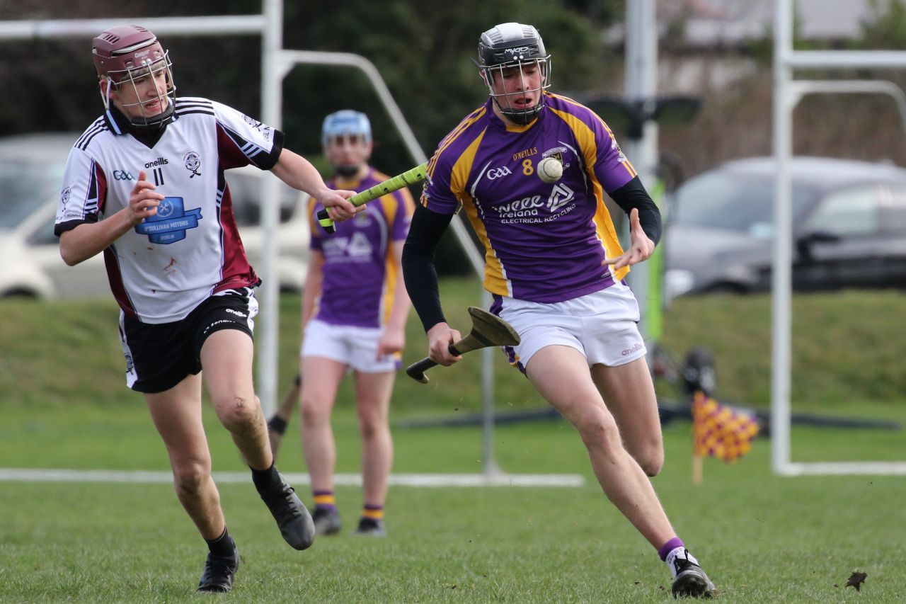 Minor Hurling League Div.4 vs Good Counsel Liffey Gaels