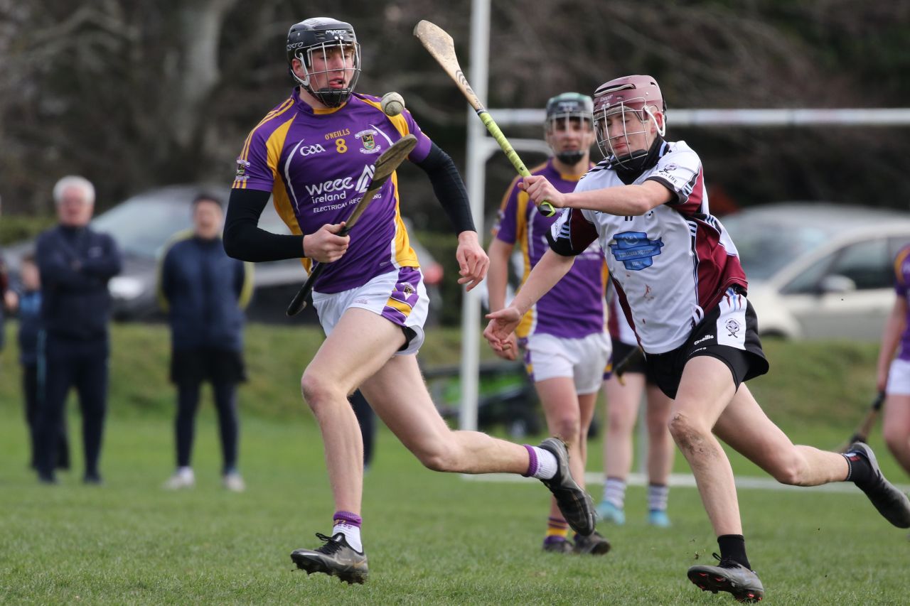 Minor Hurling League Div.4 vs Good Counsel Liffey Gaels