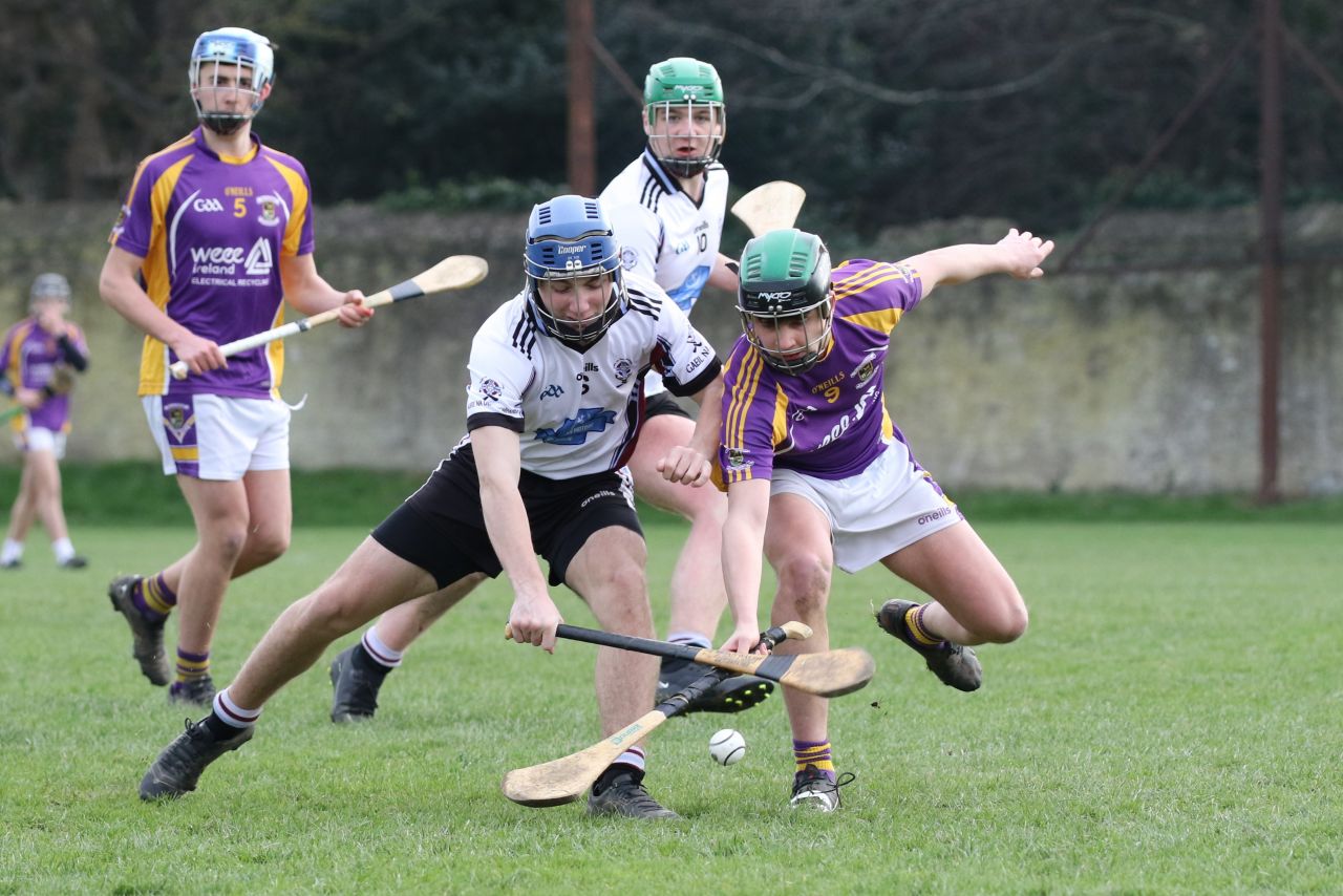 Minor Hurling League Div.4 vs Good Counsel Liffey Gaels