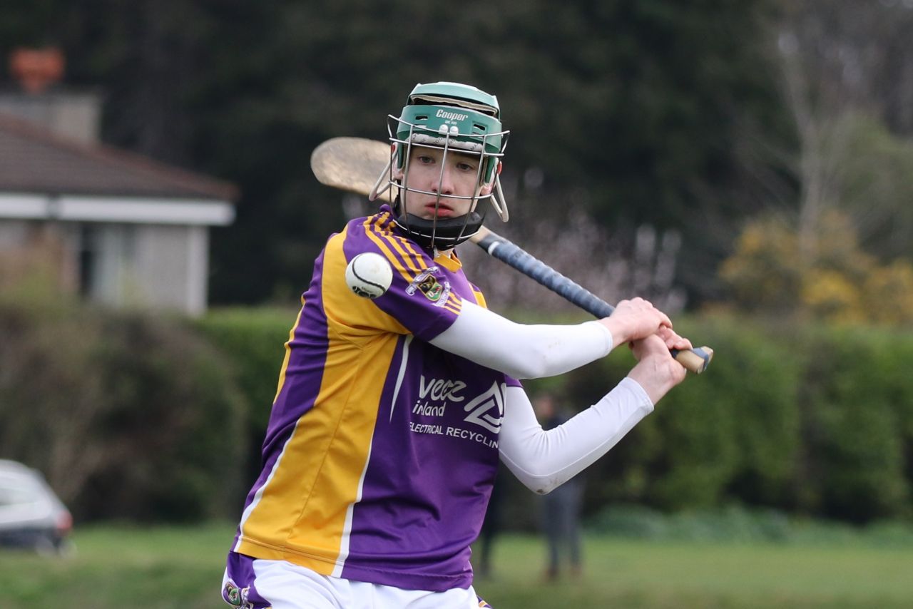 Minor Hurling League Div.4 vs Good Counsel Liffey Gaels