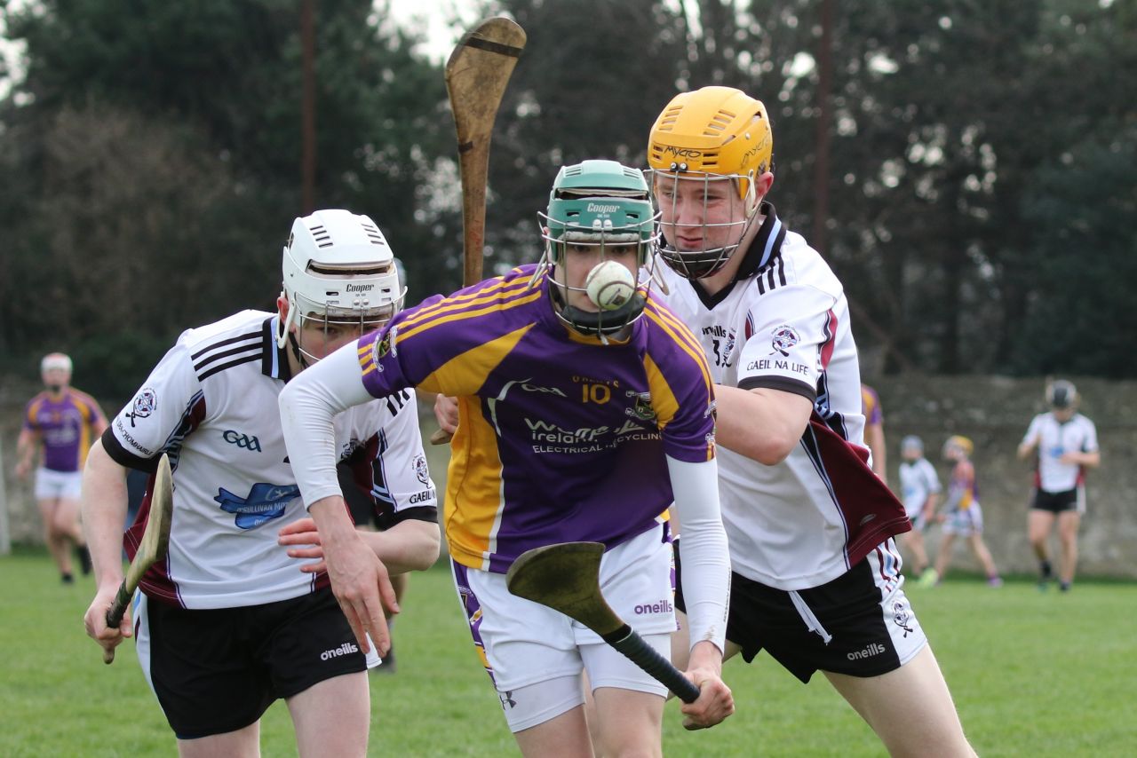 Minor Hurling League Div.4 vs Good Counsel Liffey Gaels