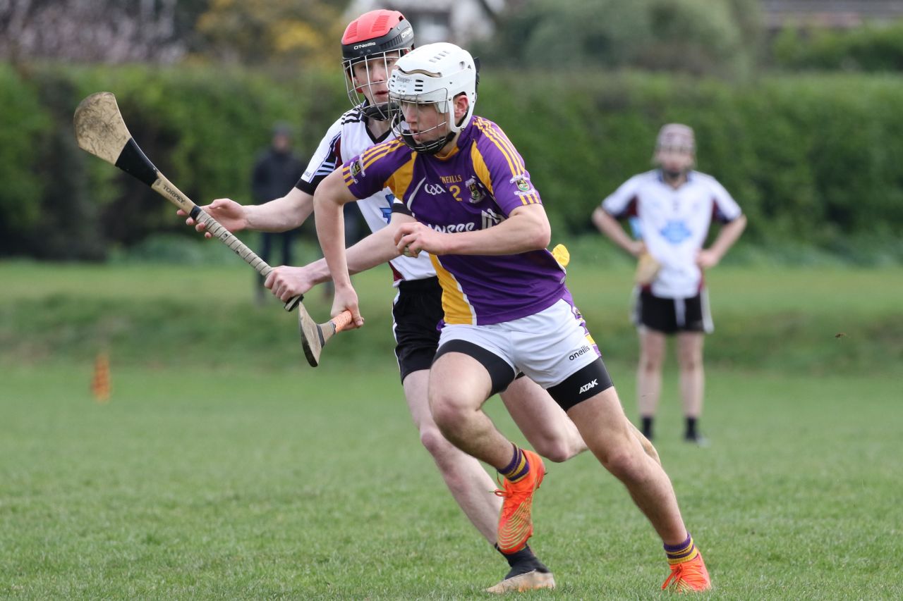 Minor Hurling League Div.4 vs Good Counsel Liffey Gaels